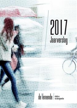 dV_jaarverslag_2017_cover