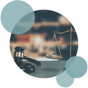 indemniteitsbeginsel