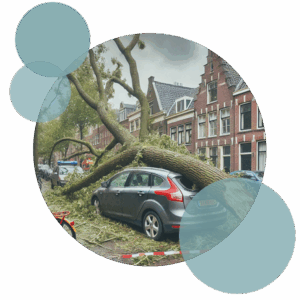 Omgevallen boom op auto